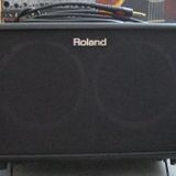 Roland AC-60 RW, guitar- og sangcombo