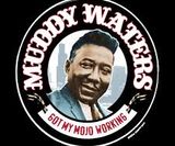 Muddy Waters, 1913 - 1983